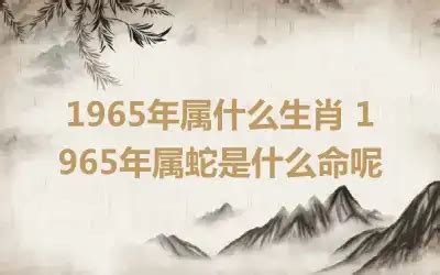 65年属什么|65年属什么 1965年属什么